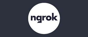 Using Ngrok To Set Up Multiple Ports